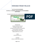 Gestion de Proyectos - Yogurt de Sabila