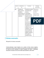 Cuadro Sinóptico Sistema Adrenérgico