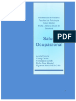 Monografia de Salud Ocupacional