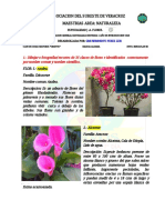 Especialidad Desarrollada Flores 1.pdf Limbertl