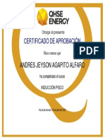 PISCO326 - Certificado Inducción Pisco