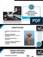 Derecho Constitucional Procesal