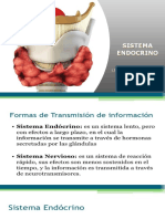 Sistema Endocrino