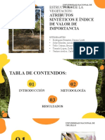 Diapositivas de Cobertura Vegetal e IVI