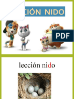 Leccion Nido