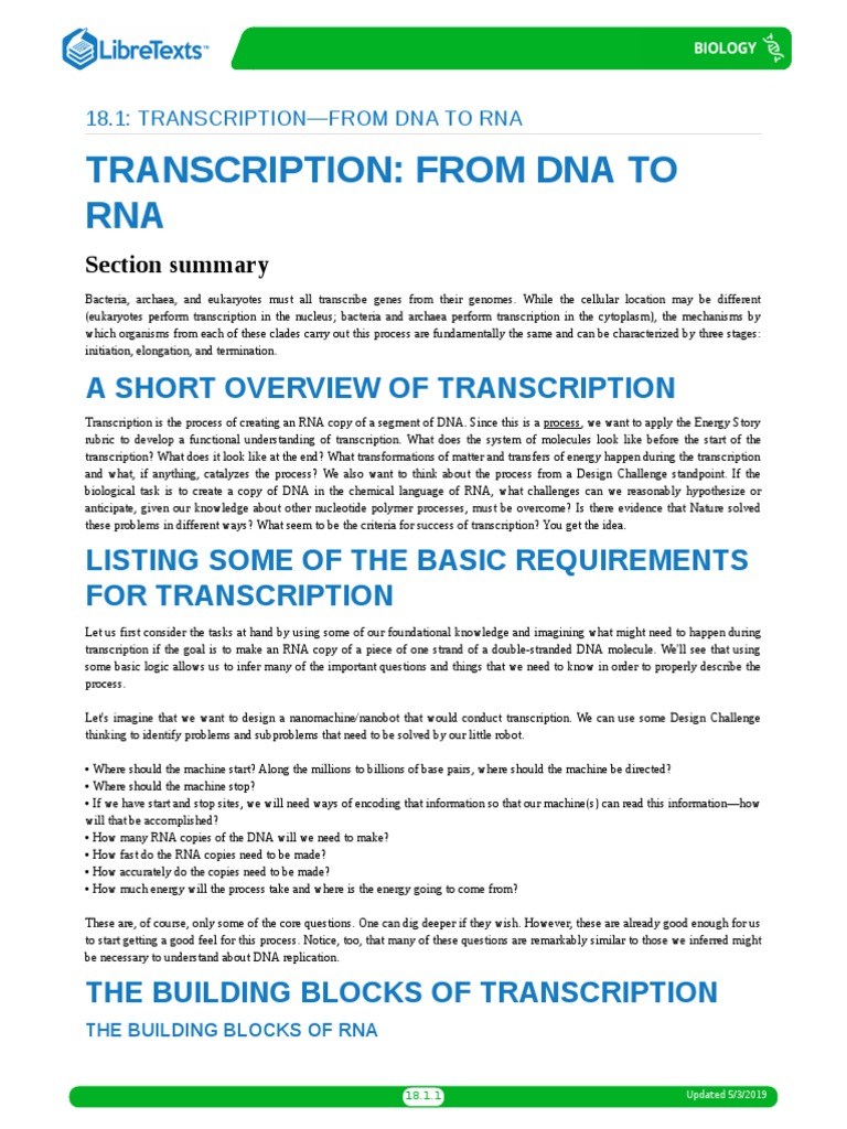 Free Transcription PPT Download | PDF | Messenger Rna | Promoter (Genetics)