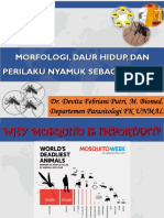 Morfologi, Daur Hidup, Dan Perilaku Nyamuk Sebagai Vektor