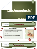 13 - Leishmaniasis