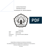 LAPORAN PRAKTIKUM Individu