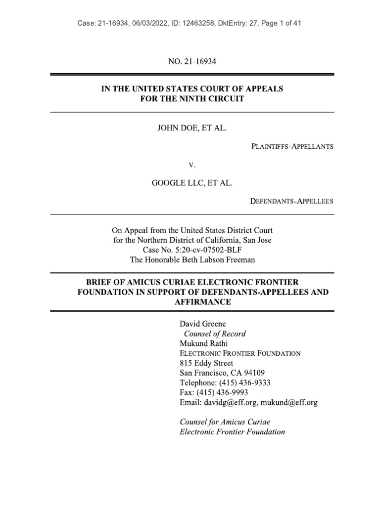 Amicus Brief PDF
