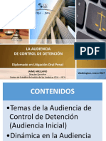 2da Sesion. La Audiencia de Control de Detencion. Jaq (Final)