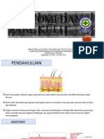 Anatomi - Fisiologi (Stase Kulit Kelamin Rs Husada)