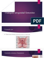 Triangulo Urogenital