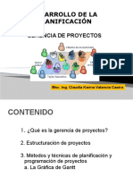 Tema Nº3 Desarrollo de La Planificacion