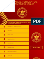 Hemorragias, Ferimentos, Curativos e Choque - Resgate 2019 I