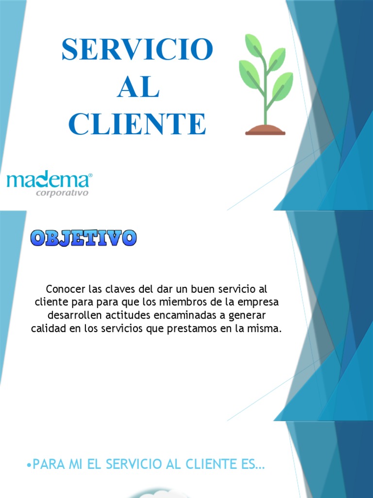Claves para un Servicio al Cliente Excepcional | PDF | Cliente ...