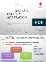 Homeostasis, Estrés y Adaptacion-1