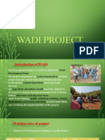 Wadi Project