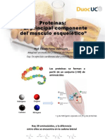 Proteínas: El principal componente del músculo esquelético