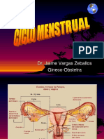 Ciclo Menstrual