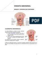 Topografía Abdominal