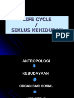 5 Life Cycle