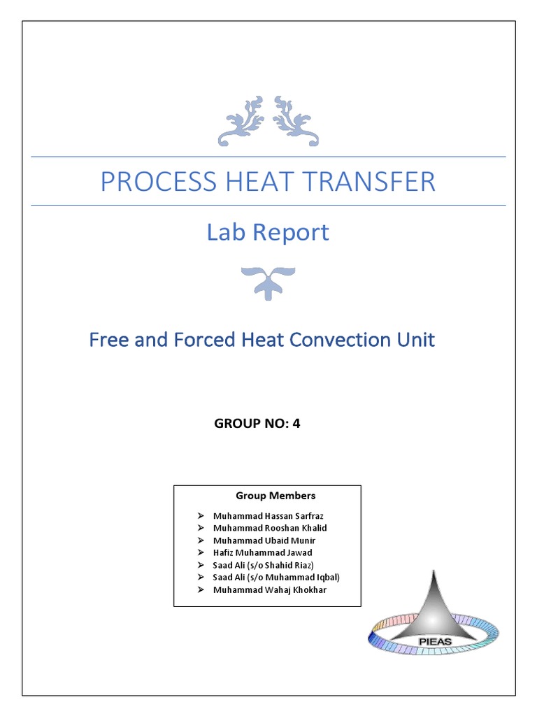 Lab Report Convection PDF Heat Transfer Heat