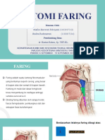 Anatomi Faring
