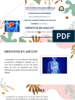 HEPAPTITIS EN ADULTO EXPOSICION 6 B