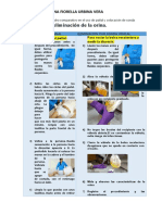 Elaborar Un Cuadro Comparativo en El Uso de Pañal y Colocación de Sonda Vesical para La Eliminación de La Orina