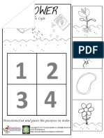 Flower Life Cycle Worksheet