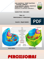 Tema 10. Peroxisomas y Ribosomas