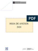 Anexos Hoja Ruta 2020-1