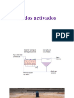 Lodos Activados (Eckenfelder) y Variantes