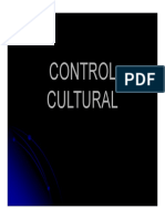 CONTROL  CULTURAL