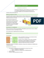 T2 - Membrana Plasmática