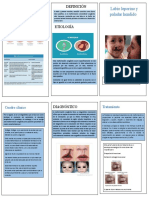 Labio leporino y paladar hendido: clasificación, definición, etiología y tratamiento