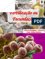 Aula Fertilização - Fecundaçãhuio