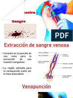 Semana 10 Sangre Arterial y Venosa