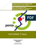 Arq. Ruben Pesci - Informe Final Integrado