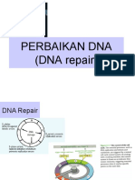 Materi Kulian Topik 12 Repairing DNA
