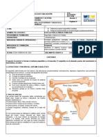 Guia de Aprendizaje 2 Anatofisiologia Sistema Musculoesqueletico SST Grupo A Diurno