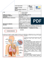 Guia de Aprendizaje 3 y 4 Sistema Respiratorio Cardiovascular y Linfatico SST Diurno