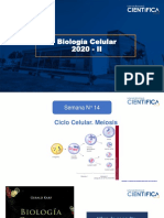 13 Clase N13 (Semana 14 Ciclo Celular Meiosis) Sesión 42 - 2020-2