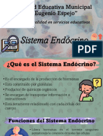 Sistema Endócrino