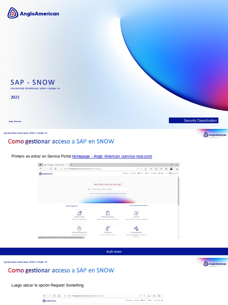Sap To Snow | PDF | Informática | Software