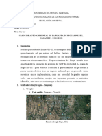 OLIVO Proyecto Ambiental Primer Parcial