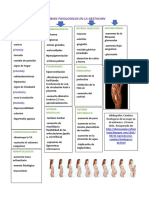 Cambios Fisiologicos en La Gestacion