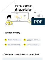 Transporte Intracelular