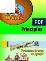 PG - 01 - Principios